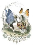 Les Papillons Metamorphoses Terresteres Des Peuples De L’Air (BU103)