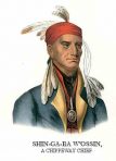 History of the Indian Tribes of North America (HIS105)