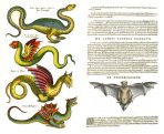 Magical and Mythical Creatures (SP105L)