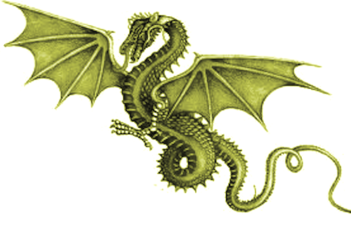 Dragons – A Natural History (SP118)
