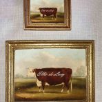 Hereford Cow (V116)