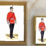 Company Officer of the 2nd Royal Surrey Militia in Dress uniform (V121)